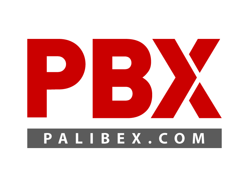 Palibex — operador integrado con DinaPaq